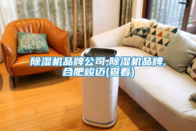91看片网站品牌公司,91看片网站品牌,合肥峻邁(查看)