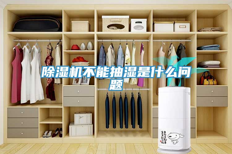 91看片网站不能抽濕是什麽問題