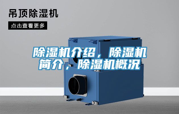 91看片网站介紹，91看片网站簡介，91看片网站概況