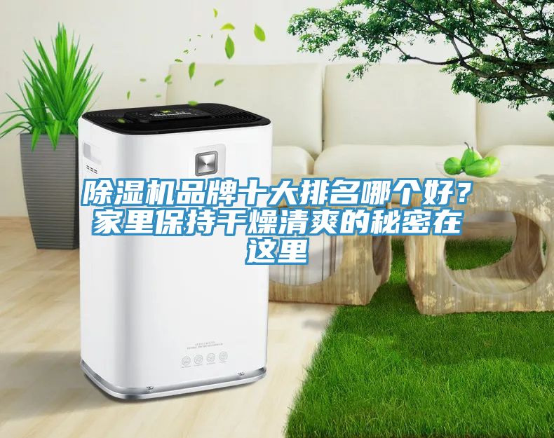 91看片网站品牌十大排名哪個好？家裏保持幹燥清爽的秘密在這裏