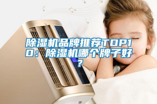 91看片网站品牌推薦TOP10：91看片网站哪個牌子好？