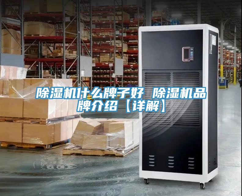 91看片网站什麽牌子好 91看片网站品牌介紹【詳解】