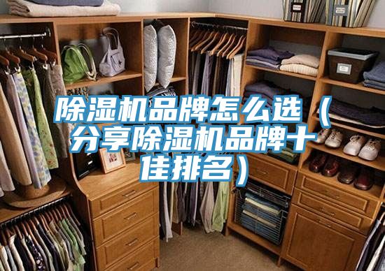 91看片网站品牌怎麽選（分享91看片网站品牌十佳排名）