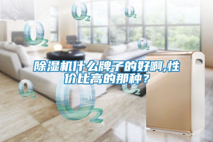91看片网站什麽牌子的好啊,性價比高的那種？