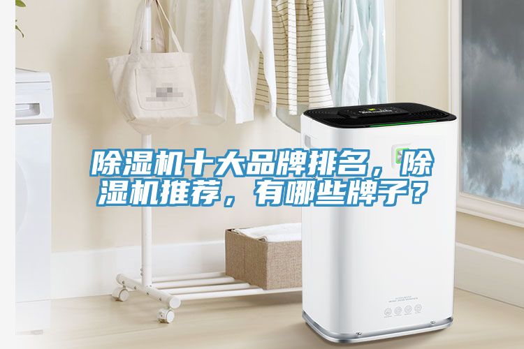 91看片网站十大品牌排名，91看片网站推薦，有哪些牌子？