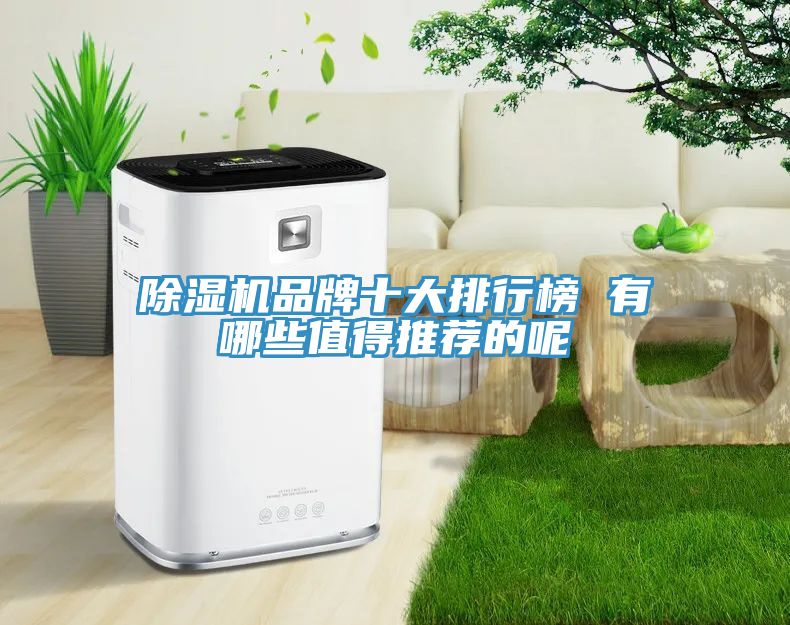 91看片网站品牌十大排行榜 有哪些值得推薦的呢