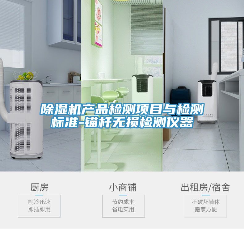91看片网站產品檢測項目與檢測標準-錨杆無損檢測儀器