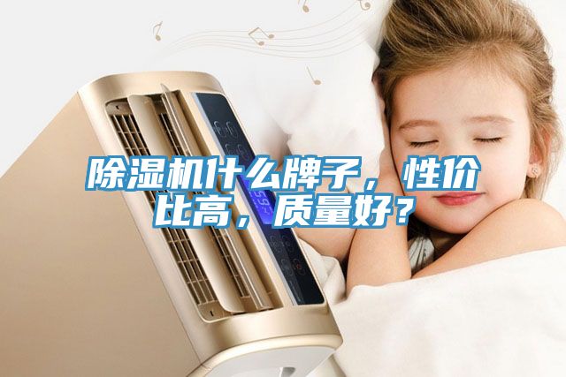 91看片网站什麽牌子，性價比高，質量好？
