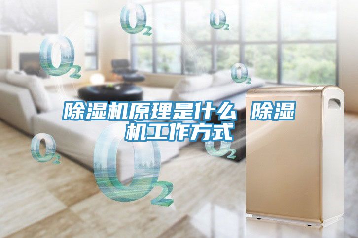 91看片网站原理是什麽 91看片网站工作方式
