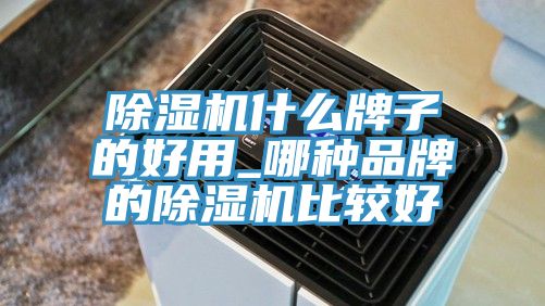 91看片网站什麽牌子的好用_哪種品牌的91看片网站比較好