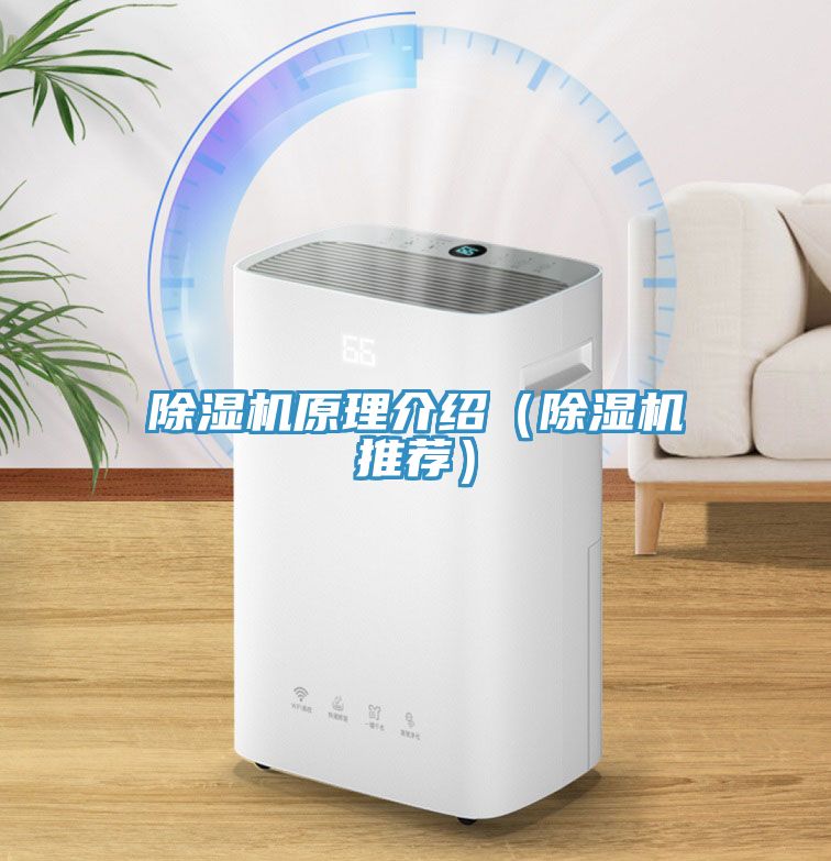 91看片网站原理介紹（91看片网站推薦）