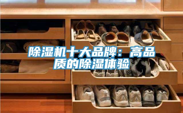 91看片网站十大品牌：高品質的除濕體驗