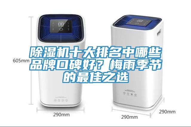 91看片网站十大排名中哪些品牌口碑好？梅雨季節的最佳之選