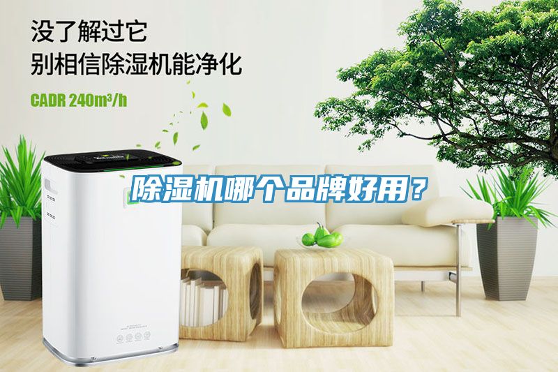 91看片网站哪個品牌好用？