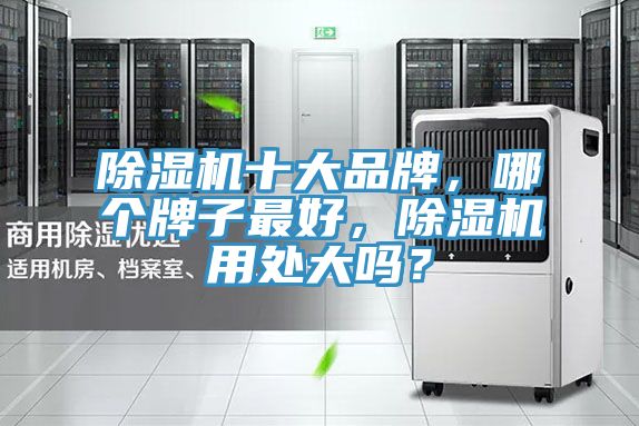 91看片网站十大品牌，哪個牌子最好，91看片网站用處大嗎？