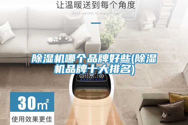 91看片网站哪個品牌好些(91看片网站品牌十大排名)