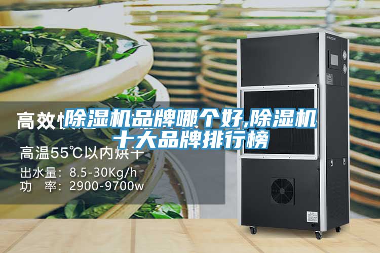 91看片网站品牌哪個好,91看片网站十大品牌排行榜