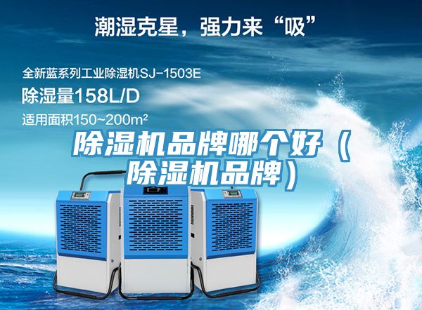 91看片网站品牌哪個好（91看片网站品牌）