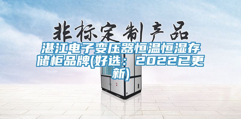 湛江電子變壓器恒溫恒濕存儲櫃品牌(好選：2022已更新)