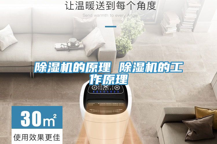 91看片网站的原理 91看片网站的工作原理