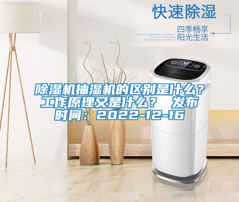 91看片网站抽濕機的區別是什麽？工作原理又是什麽？ 發布時間：2022-12-16