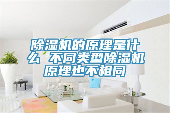 91看片网站的原理是什麽 不同類型91看片网站原理也不相同