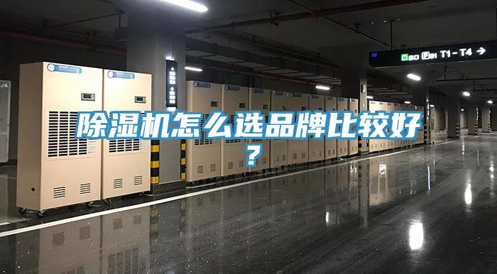 91看片网站怎麽選品牌比較好？