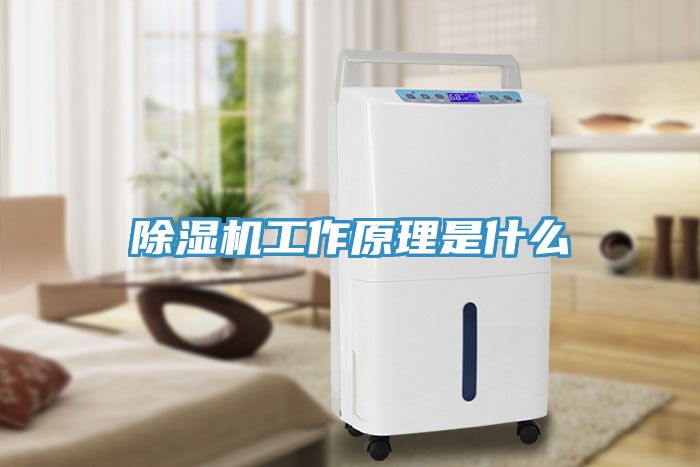 91看片网站工作原理是什麽