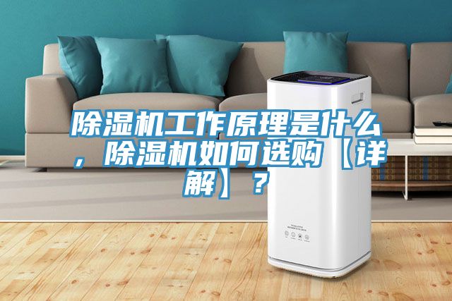 91看片网站工作原理是什麽，91看片网站如何選購【詳解】？