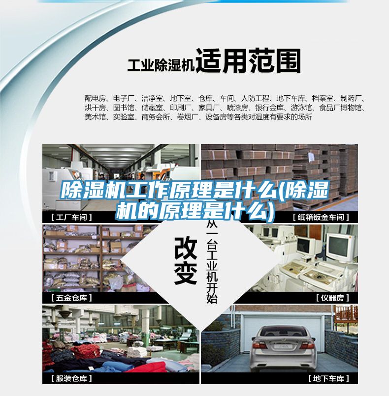 91看片网站工作原理是什麽(91看片网站的原理是什麽)