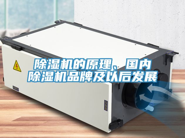 91看片网站的原理、國內91看片网站品牌及以後發展