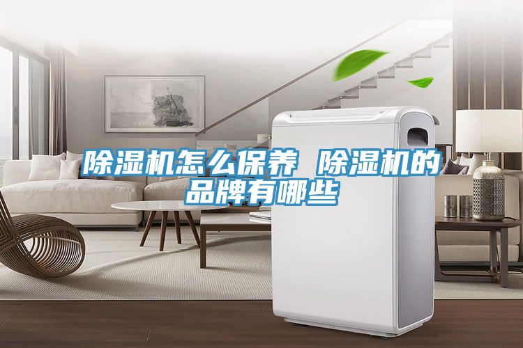 91看片网站怎麽保養 91看片网站的品牌有哪些