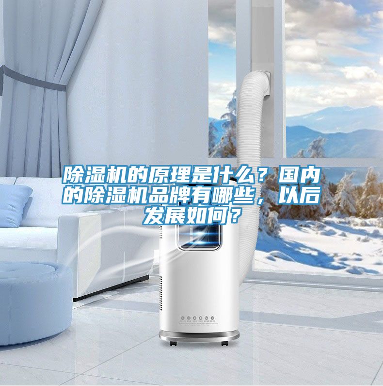 91看片网站的原理是什麽？國內的91看片网站品牌有哪些，以後發展如何？