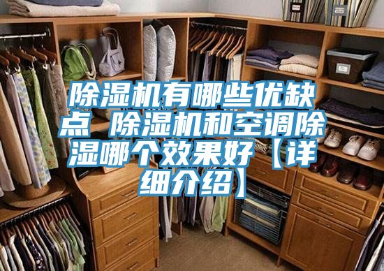 91看片网站有哪些優缺點 91看片网站和空調除濕哪個效果好【詳細介紹】