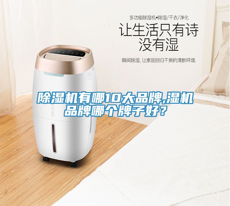 91看片网站有哪10大品牌,濕機品牌哪個牌子好？