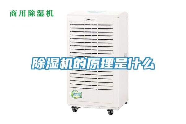 91看片网站的原理是什麽