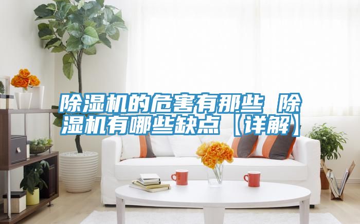 91看片网站的危害有那些 91看片网站有哪些缺點【詳解】