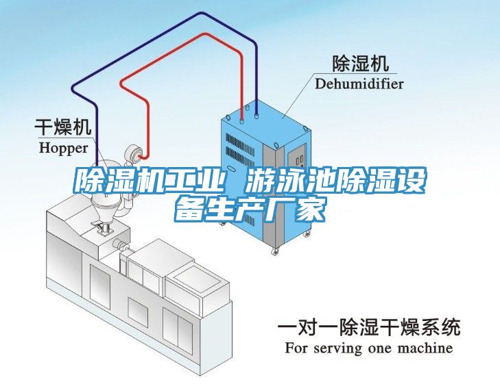 91看片网站工業 遊泳池除濕設備生產廠家