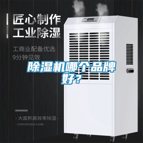 91看片网站哪個品牌好？