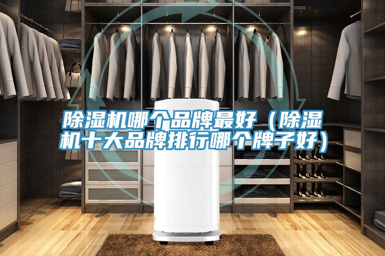 91看片网站哪個品牌最好（91看片网站十大品牌排行哪個牌子好）