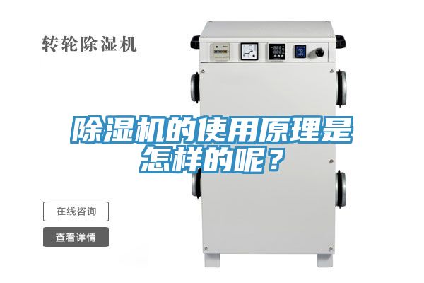 91看片网站的使用原理是怎樣的呢？