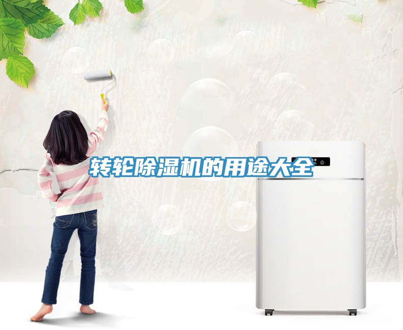 轉輪91看片网站的用途大全