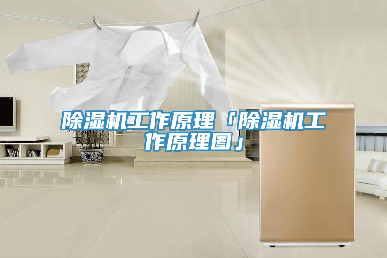 91看片网站工作原理「91看片网站工作原理圖」