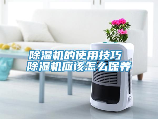 91看片网站的使用技巧 91看片网站應該怎麽保養