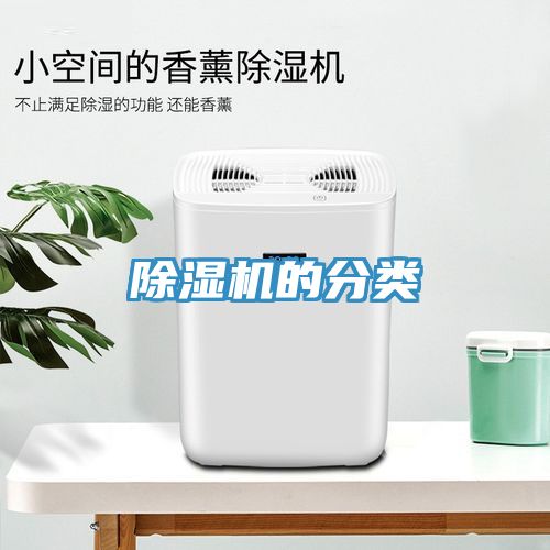 91看片网站的分類