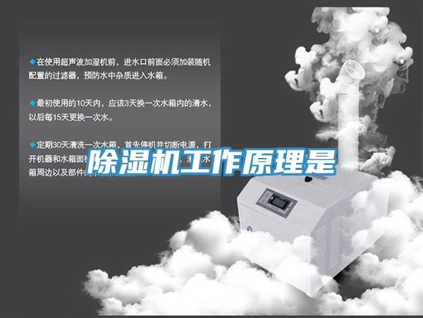 91看片网站工作原理是