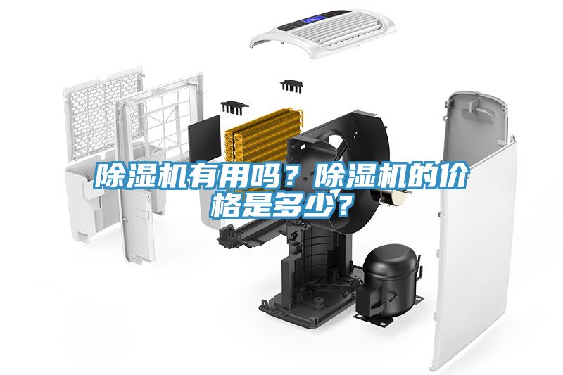 91看片网站有用嗎？91看片网站的價格是多少？