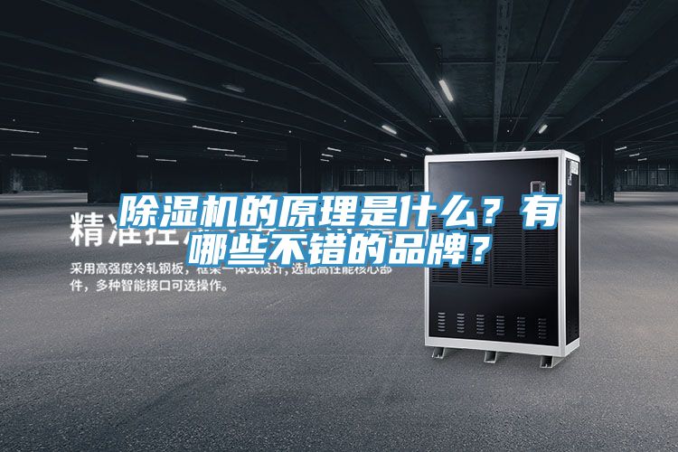 91看片网站的原理是什麽？有哪些不錯的品牌？