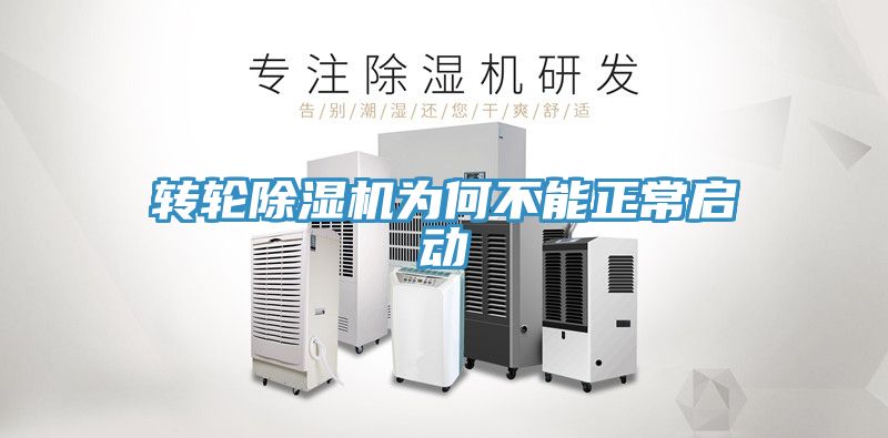 轉輪91看片网站為何不能正常啟動