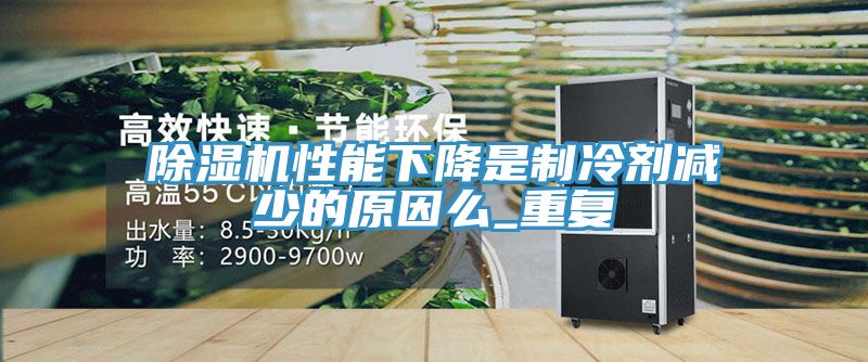91看片网站性能下降是製冷劑減少的原因麽_重複